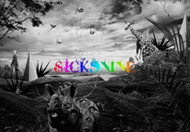 sicksnine